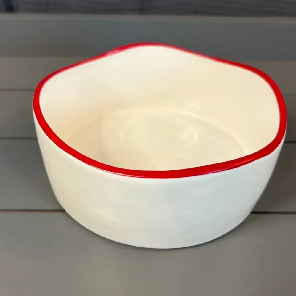 Rae Dunn Peanuts Snoopy Pet Christmas Bowl
